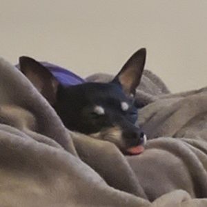 Meet your Posher, Andy